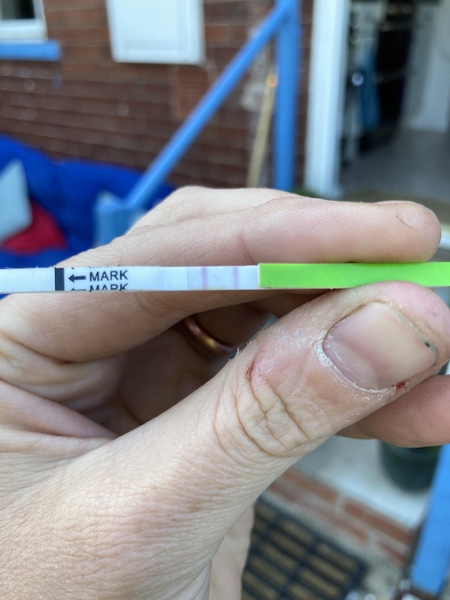 Ovulation strips