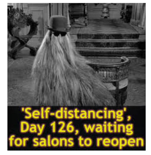 AIBU to ask for your favourite isolation memes?