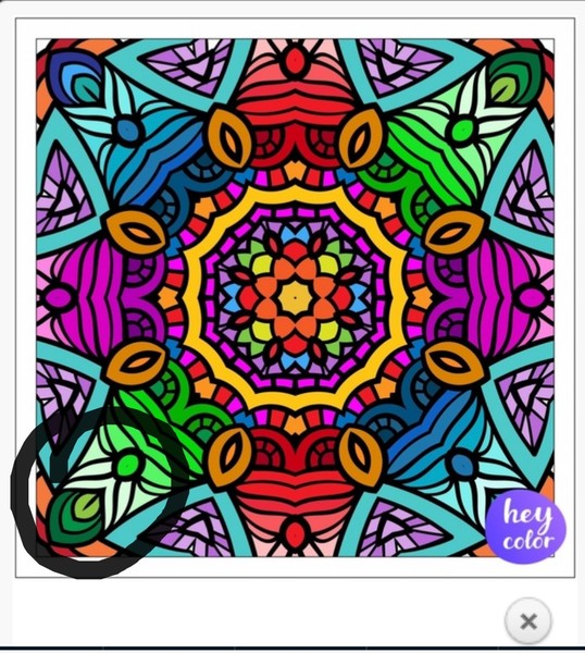 What do you see in this picture?