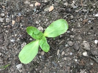 Help me identify this?