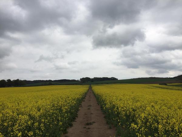To think the north of England offers a worse quality of life than the South or Midlands?