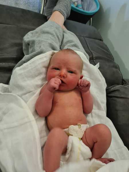 My husband wants to call the new baby after the cat ...