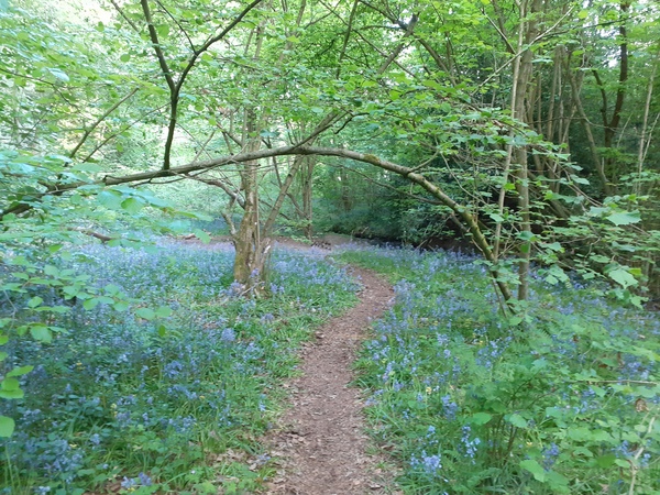 To think the north of England offers a worse quality of life than the South or Midlands?