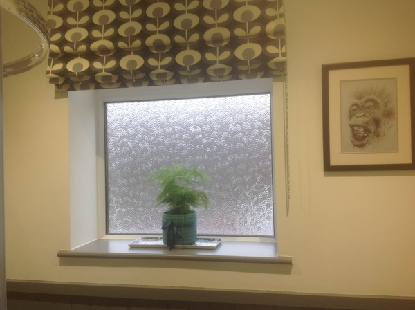 roller blind inside roman blind?