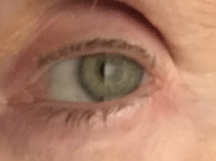 Properly violet or green eyes?