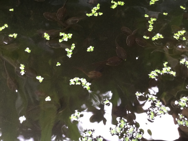 They were waiting for me