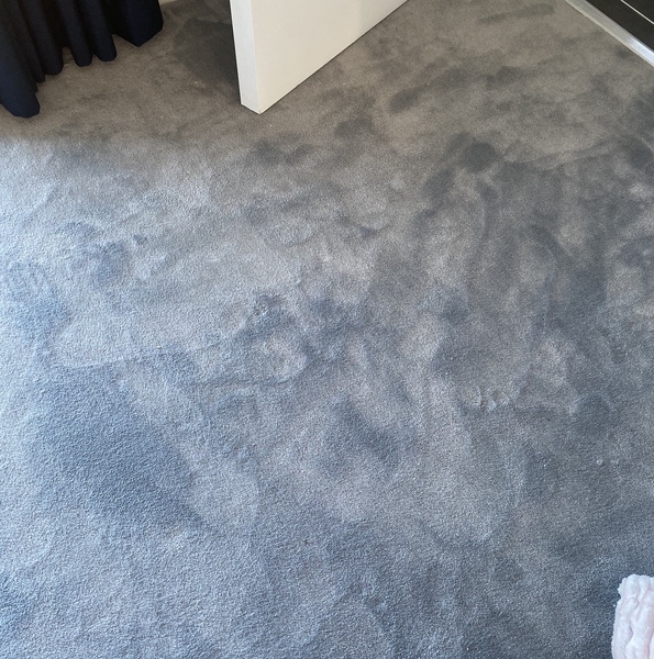 Shimmery carpet & LVT