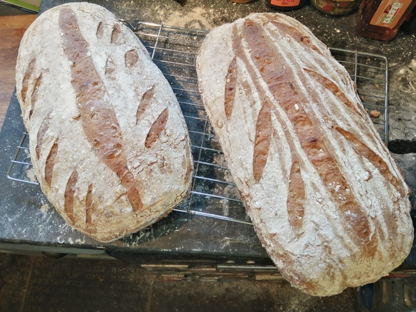 Frugal Foodies, thread 3! Favourite leftover dishes, avoiding waste, menu ideas. Plus pets, and other chat.