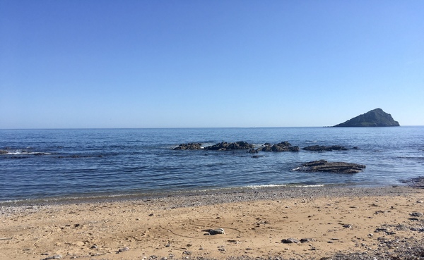 Any Witches Here? Part 11