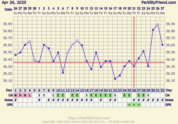 Catching up - ttc after miscarriage part 3