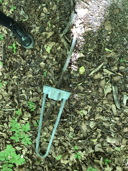 Does anyone know what this is?