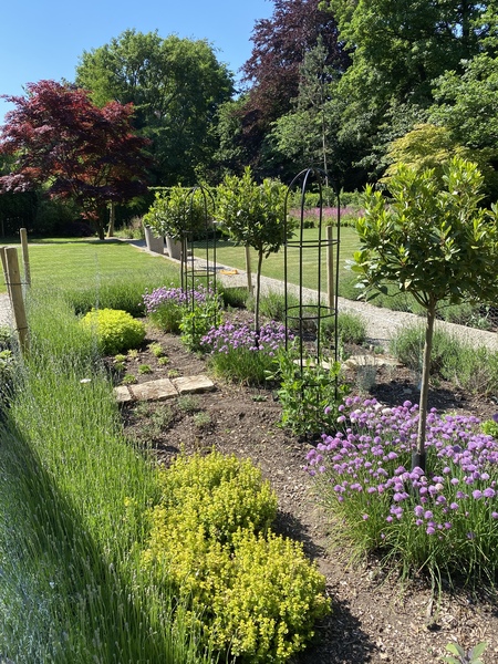 Creating a herb garden