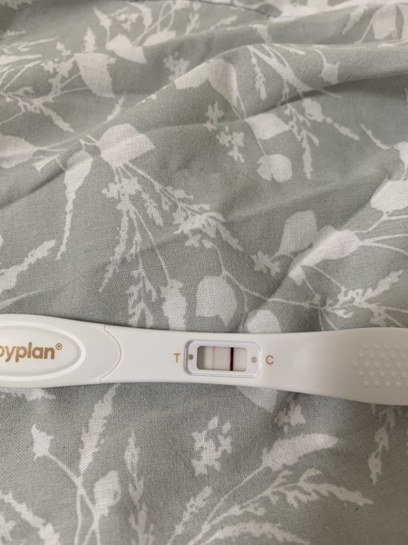 Babyplan tests... Positive?!