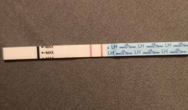 Is this a positive ovulation test?