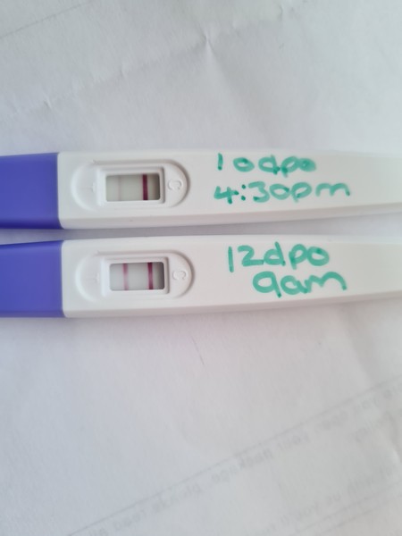 Implantation bleeding?