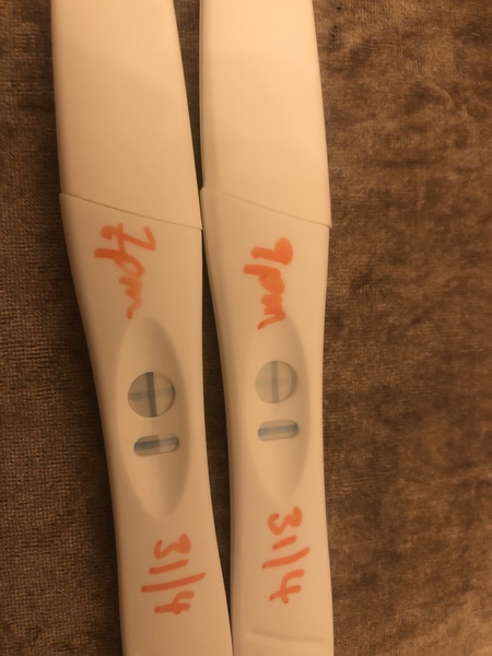 First pregnancy test this evening