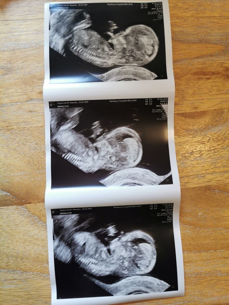 November 2020 Babies - Thread 6!