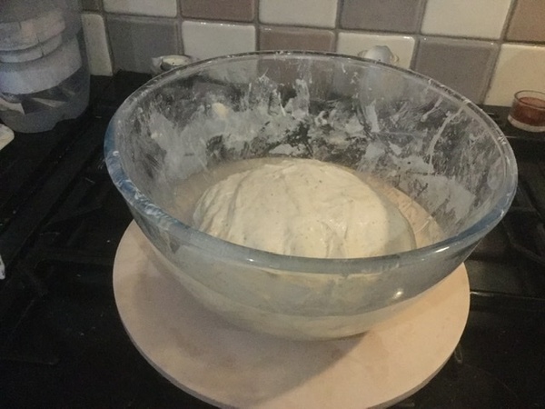 Calling sourdough starter experts!