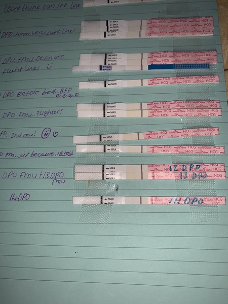 Lines not progressing, please help