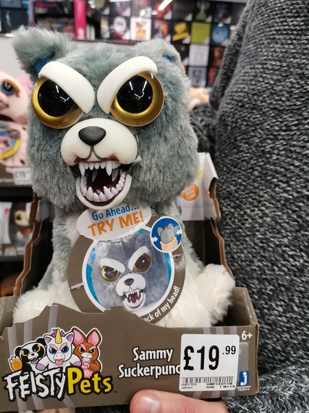 Experience with rabbits??