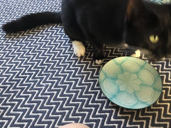 The cafe is still open thread 2