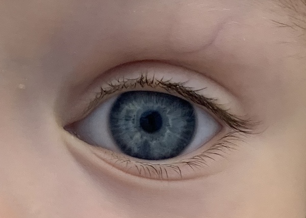 Properly violet or green eyes?