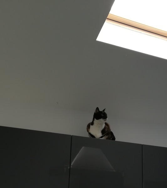 What is on top of your kitchen units?