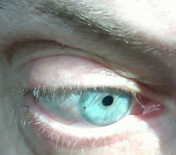 Properly violet or green eyes?