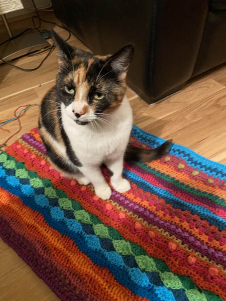 Crochet/Knitters : post your current projects here!