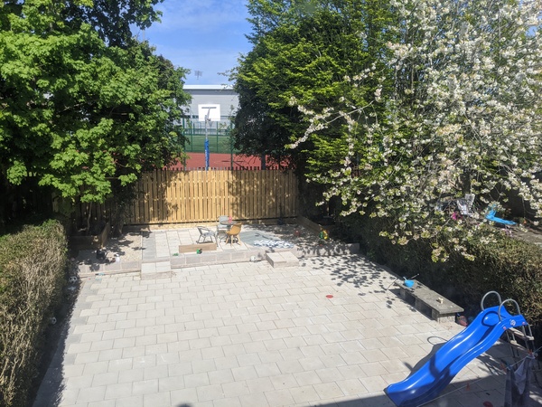 Help me with finding out what would grow