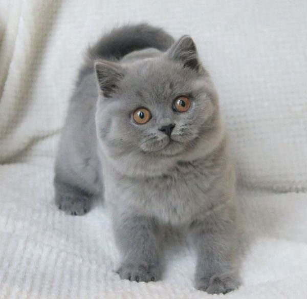 Les Parisiennes des Mamansnet: Ce n'est pas bon de faire du lèche-vitrines avec de l'argent en poche