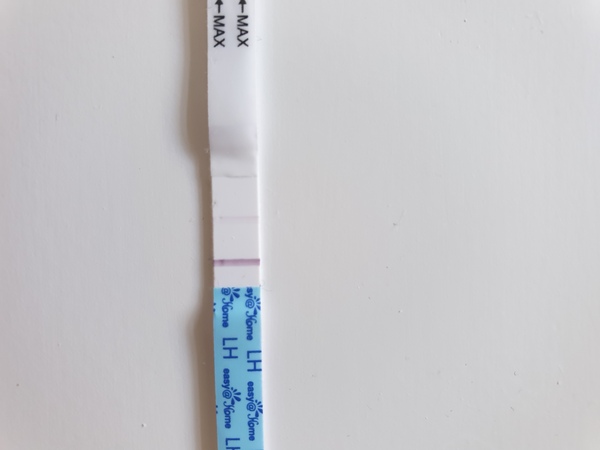 TTC after stopping breastfeeding - June 2020