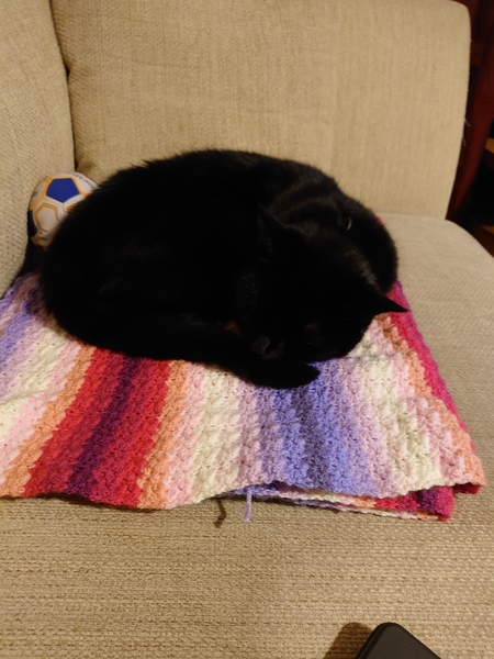 Crochet/Knitters : post your current projects here!