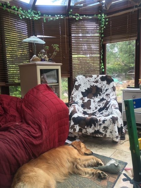 To ask if you’ve managed to turn your conservatory into a useable space?