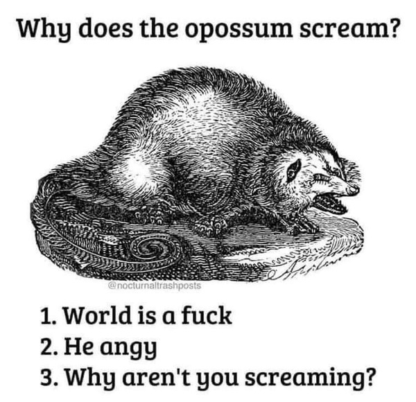 Aaaaaarrrrgggggghhhhhh!