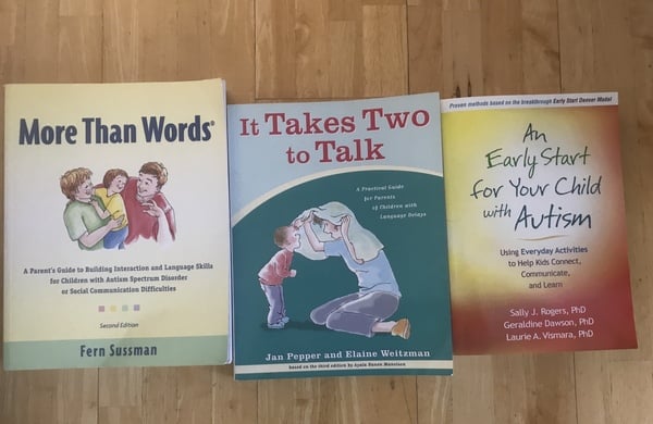 Pretty sure my baby has autism. If you had known early, is there anything you would have done/done differently? (I also have a DS who has autism)