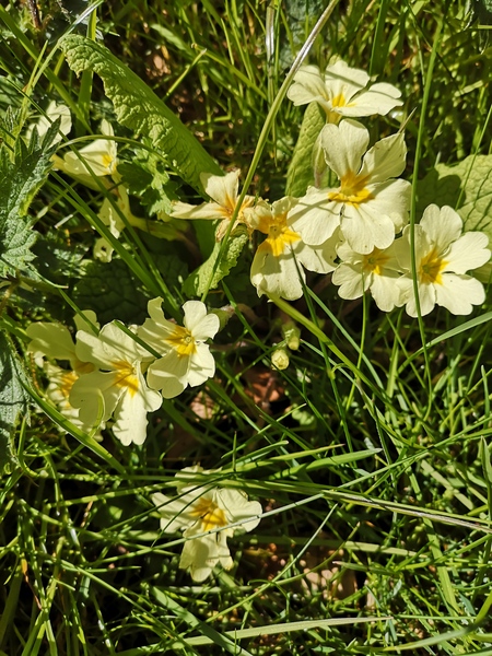 Jan '20 - Low Carb Bootcamp - The finish line!