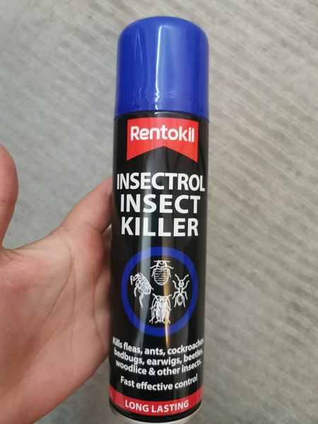 What are these bugs and how do I get rid of them?