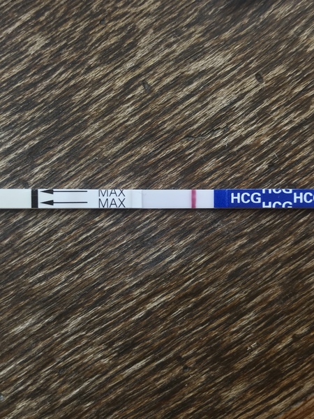 Do these look negative to you? Please help