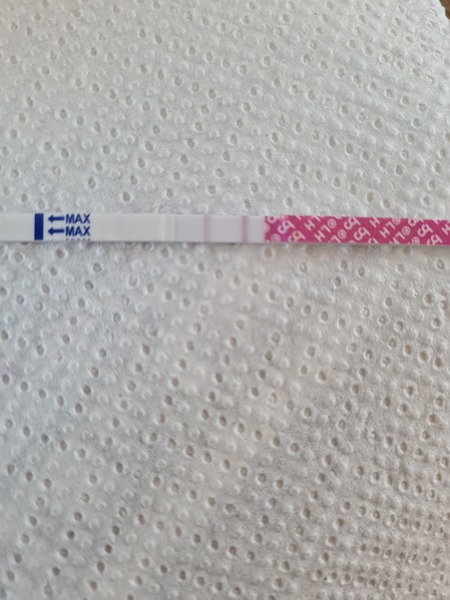 Catching up - ttc after miscarriage part 2