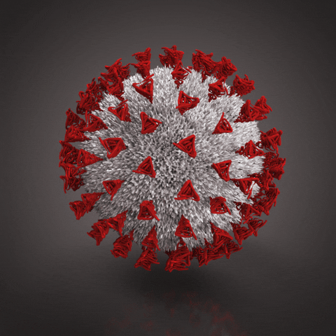 Christmas Cancelled due to Coronavirus