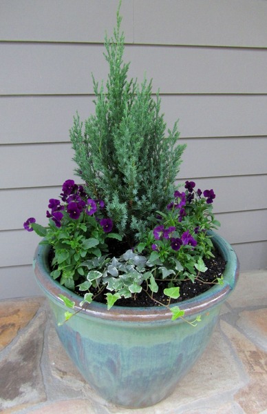 Any ideas what I could put in these pots?