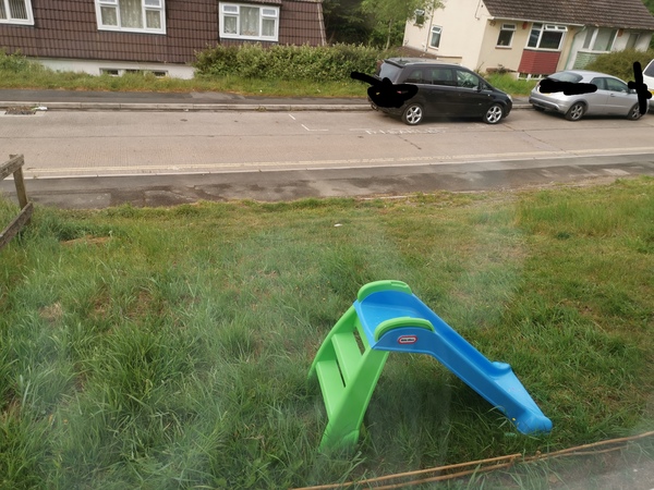 Best hedge/plant for screening/privacy