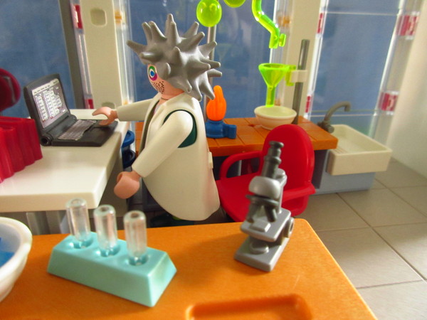Playmobil pandemic in our house part 2