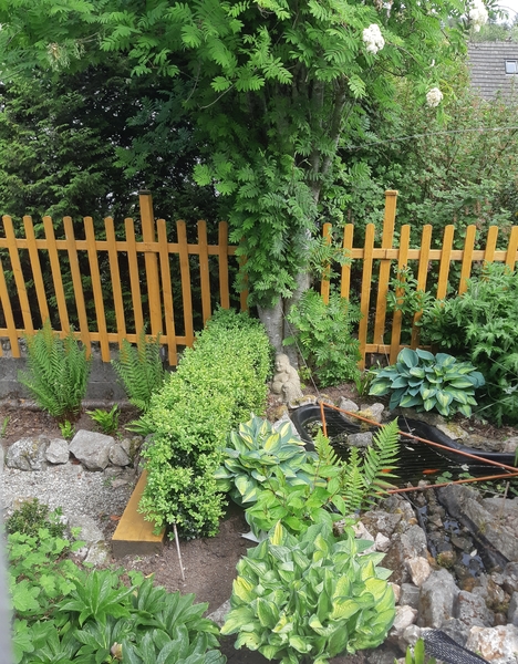 to want a small Buddha in my garden?