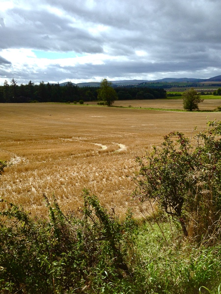 To think the north of England offers a worse quality of life than the South or Midlands?