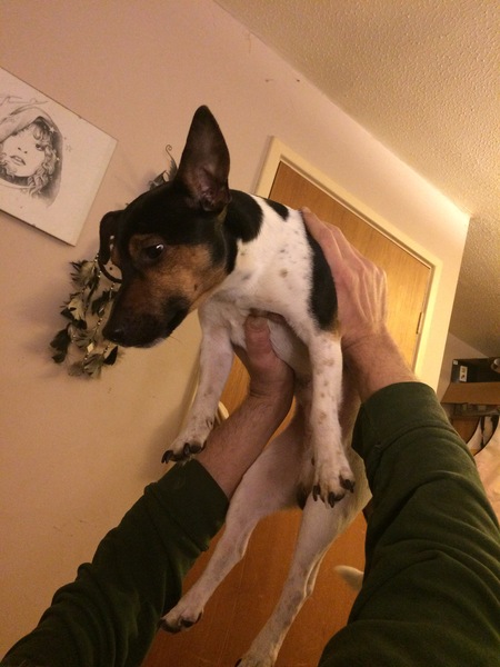 Super Strict Leaving Lockdown Low Carb Bootcamp Week 1