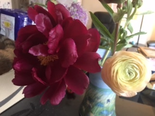 Peonies