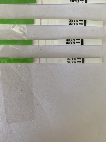 Penguin huddle 🐧🐧🐧 TTC after pregnancy loss - Thread 35 - time for some sticky BFP's