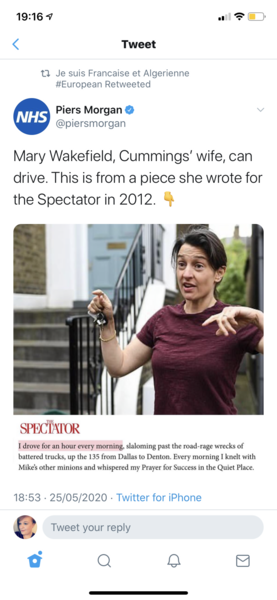 Can Dominic Cummings wife drive?